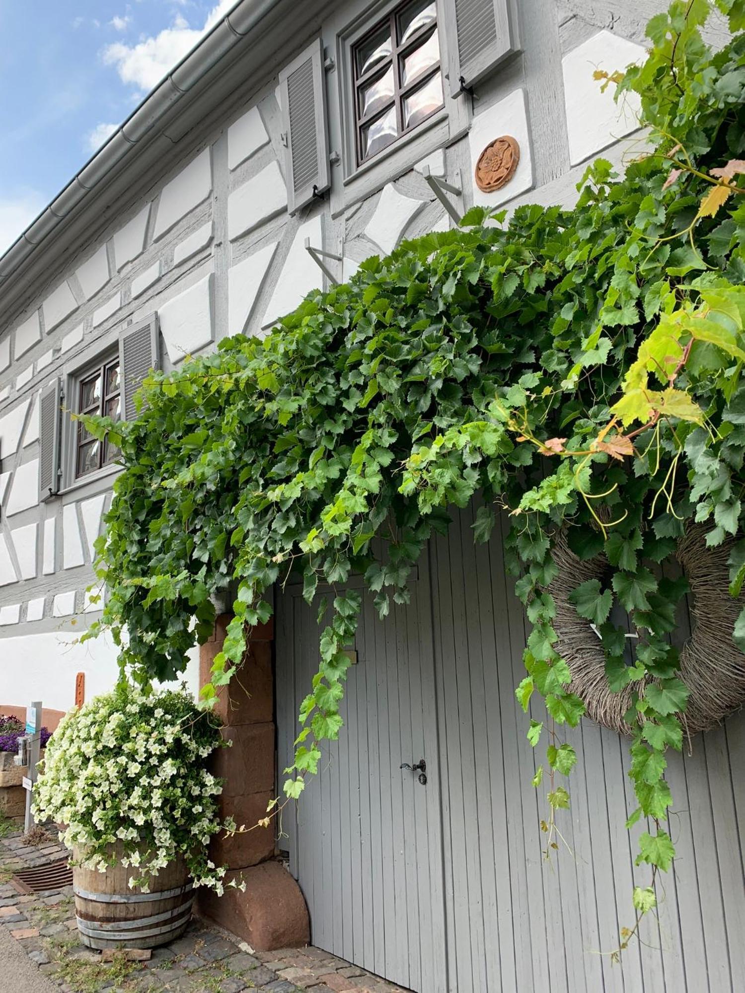 Ferienwohnung Sambachhaus ไกลส์เซลเลน-ไกลส์ฮอร์บาค ภายนอก รูปภาพ